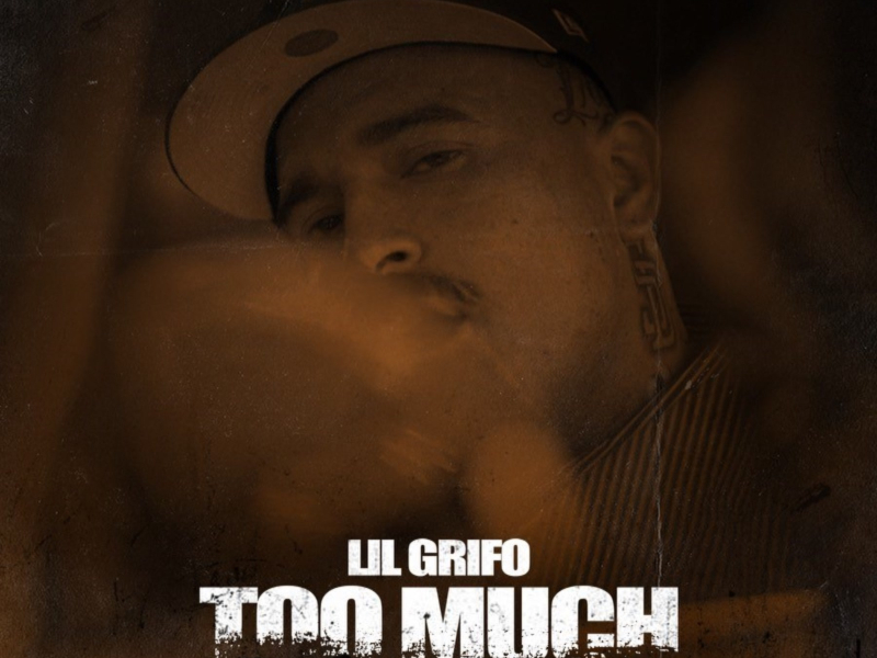 Too Much (Single)