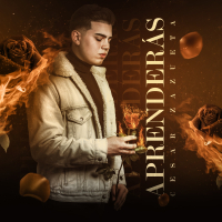 Aprenderás (Single)