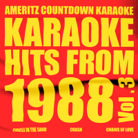 Karaoke Hits from 1988, Vol. 3