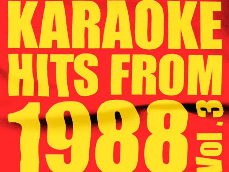 Karaoke Hits from 1988, Vol. 3