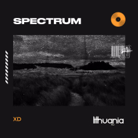 Spectrum (Say My Name) (Single)