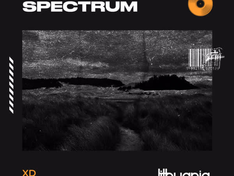 Spectrum (Say My Name) (Single)