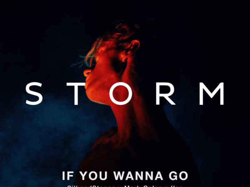 If you wanna go (Single)