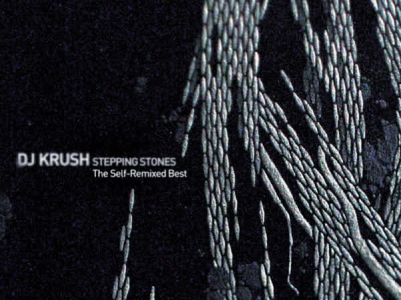 Stepping Stones: The Self-Remixed Best