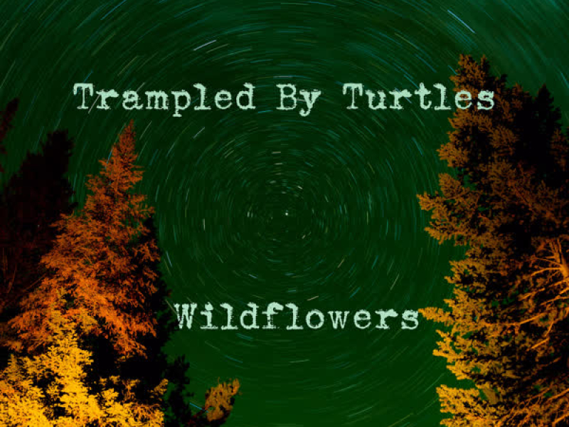 Wildflowers (Single)