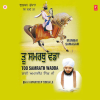 Toon Samrath Wadda Vol-40 (Single)