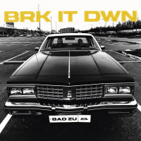 BRK IT DWN (Single)