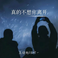 真的不想你离开 (Single)