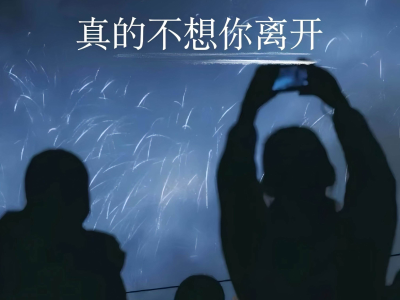 真的不想你离开 (Single)