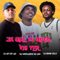 Já Que Tu Quer Vai Ter (Single)