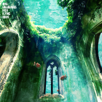 Flying On The Ground (Single)