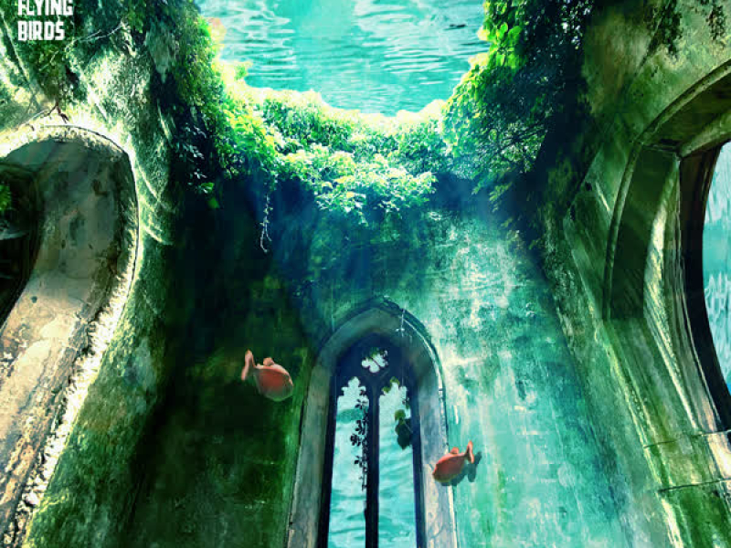 Flying On The Ground (Single)