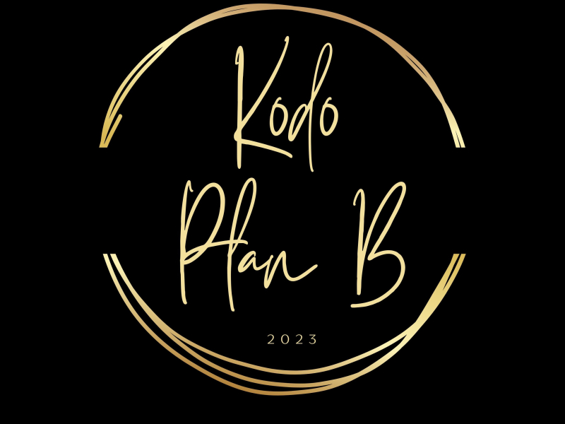 Plan B (Single)