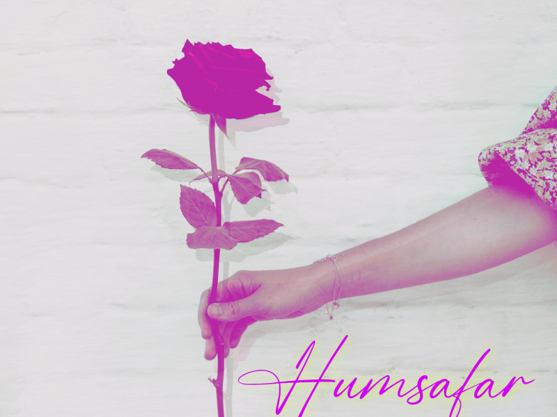 Humsafar (Single)