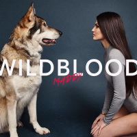 Wildblood (Single)