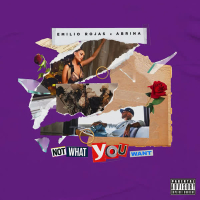 Not What You Want (feat. Abrina) (Single)