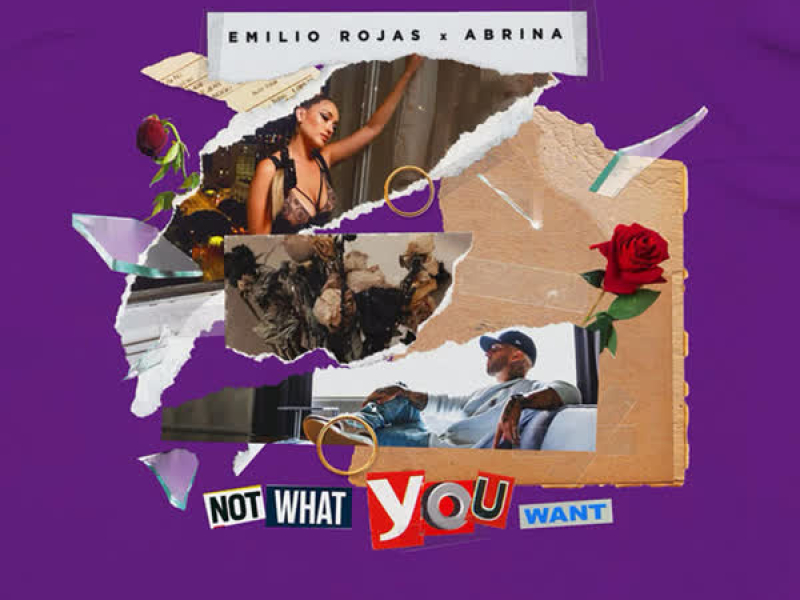 Not What You Want (feat. Abrina) (Single)