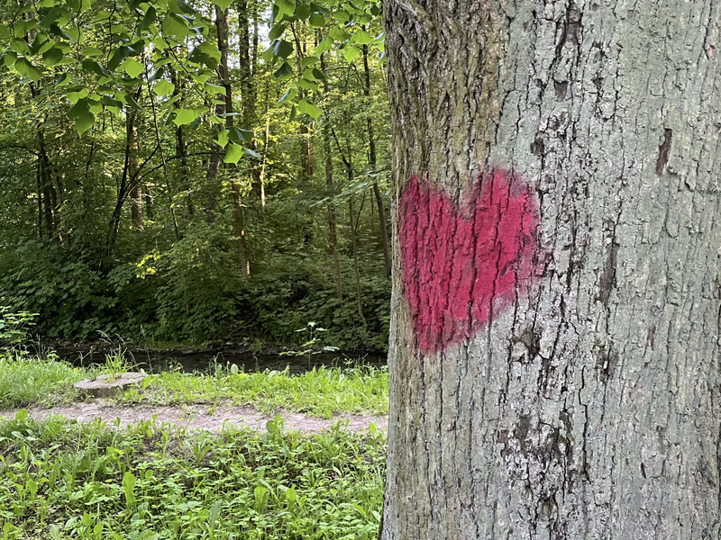 chcem veľa povedať (Single)