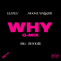 Why G-Mix (Single)