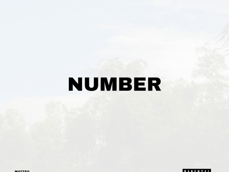 Number (Single)