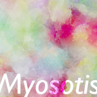 Myosotis (Single)