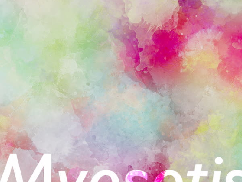 Myosotis (Single)