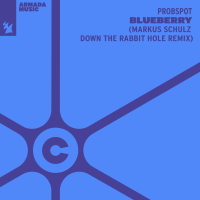 Blueberry (Markus Schulz Down The Rabbit Hole Remix) (Single)