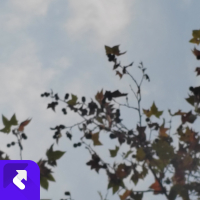 忘记了时间也忘了你（live） (Single)