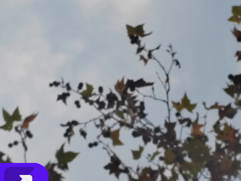 忘记了时间也忘了你（live） (Single)