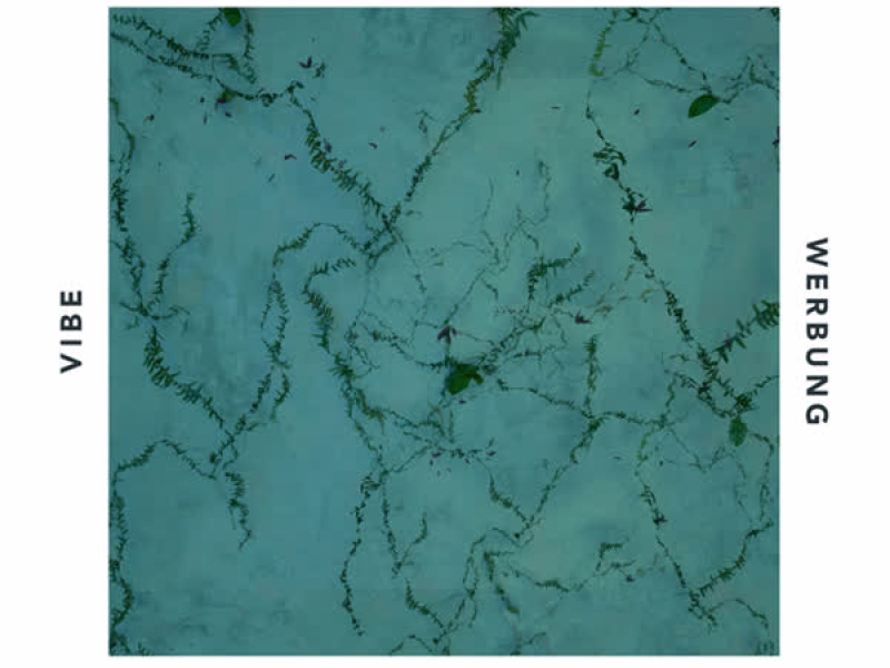 Vibe oder Werbung (Single)