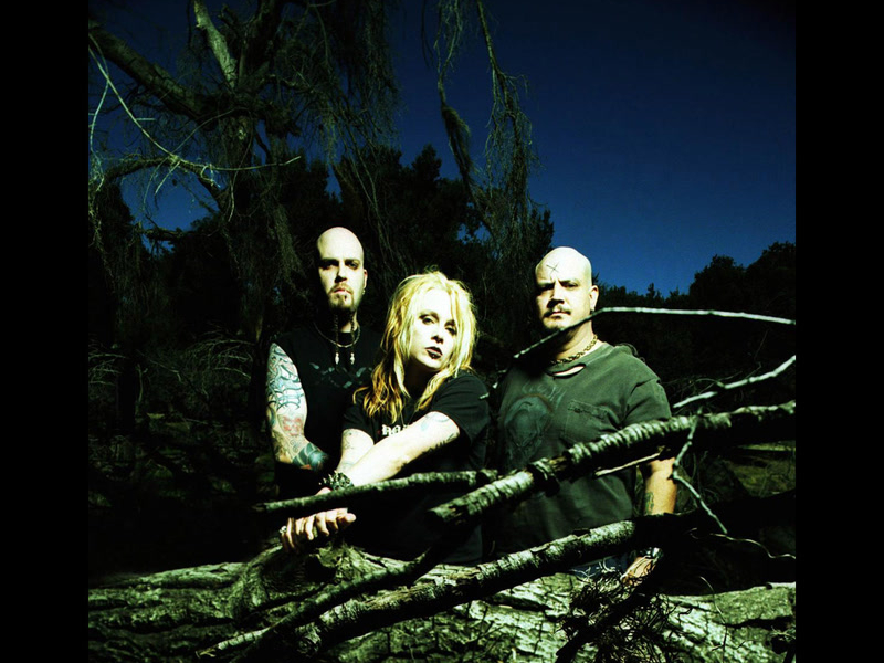 Napster Live Sessions (Single)