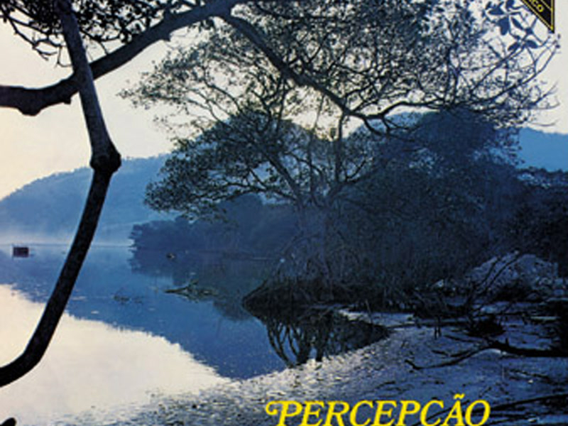 Percepção