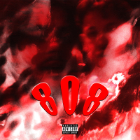 808 (Single)