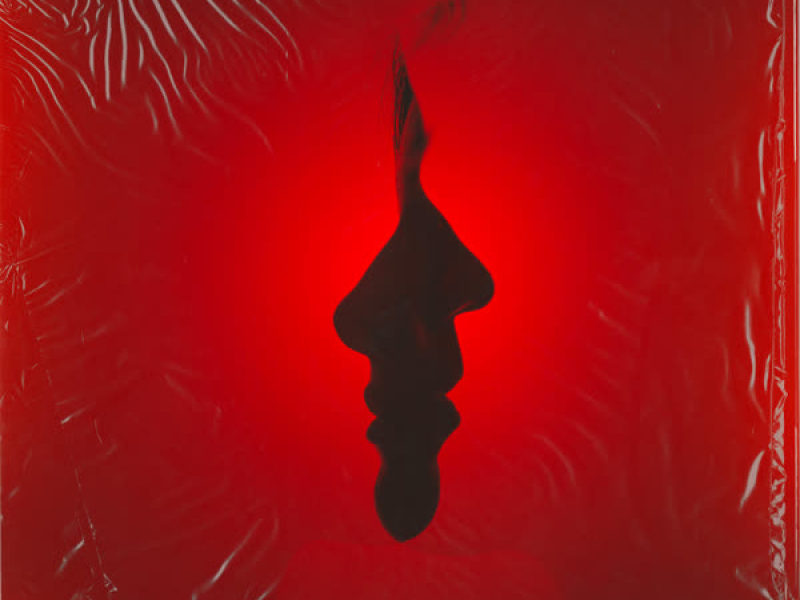 Just the Two of Us (Single)