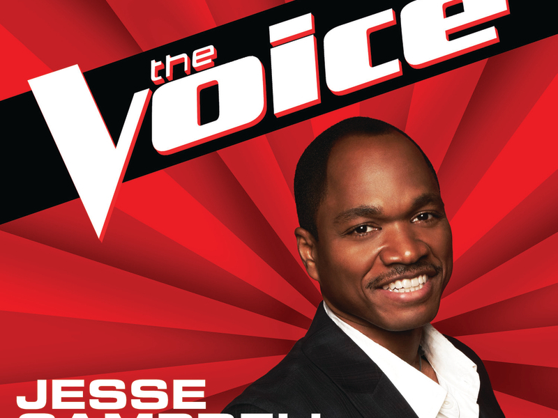 If I Ain’t Got You (The Voice Performance)