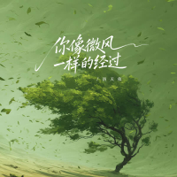 你像微风一样的经过 (Single)