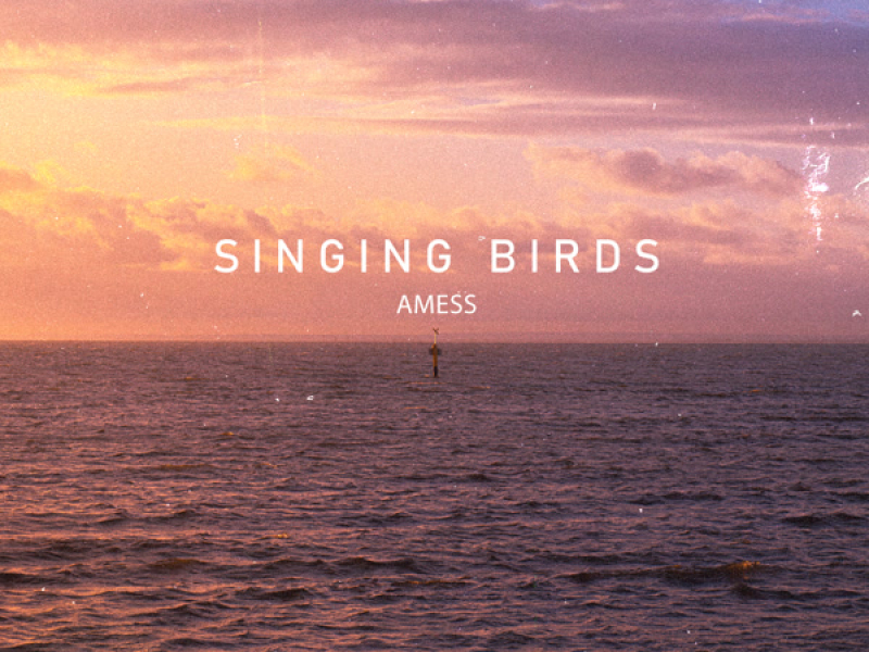 Singing Birds (Single)