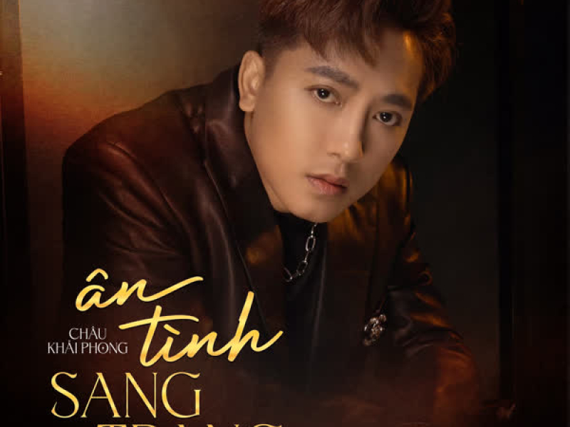 Ân Tình Sang Trang (Lofi Mix) (Single)