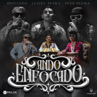 Ando Enfocado (Single)