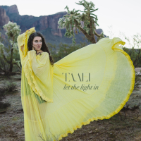 Let the Light In (Single)