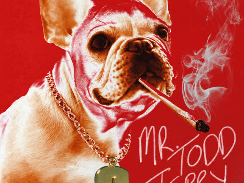 Mr Todd Terry (Single)