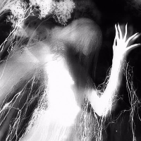 Fashion pulse (Single)