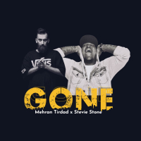 Gone (feat. Stevie Stone) (Single)