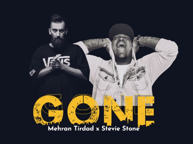 Gone (feat. Stevie Stone) (Single)