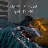 Won't Pick up the Phone (Single)
