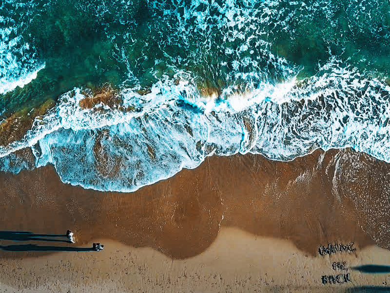 Bring Me Back (Single)