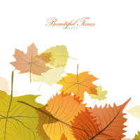 Beautiful Times (Single)