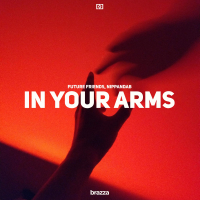 In Your Arms (Single)