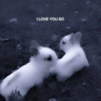 I LOVE YOU SO (JUMPSTYLE) (EP)