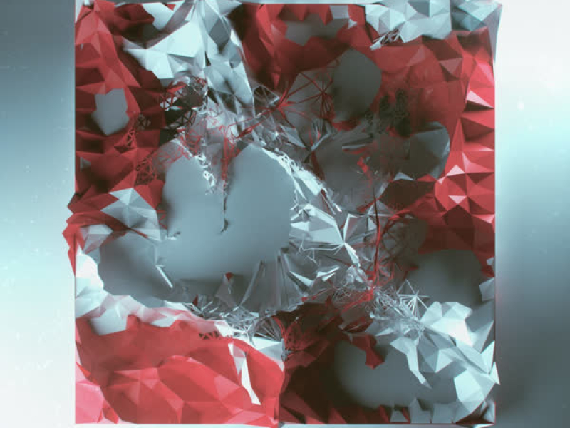 Struggle Experienced Internally